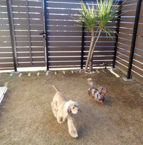 ドッグランのあるお庭 千葉市緑区 株式会社日本造園土木 ドッグランのあるお庭 千葉市緑区 ドッグランのあるお庭 千葉市緑区 株式会社日本造園土木 ドッグランのあるお庭 千葉市緑区